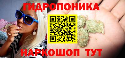 спайс Моздок