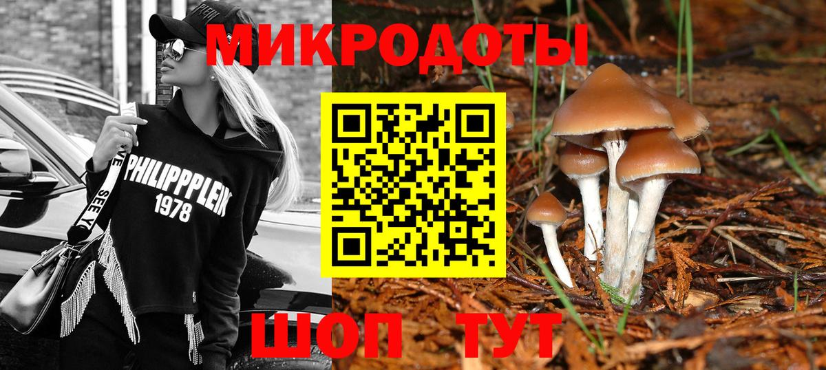 Галлюциногенные грибы мухоморы Энгельс