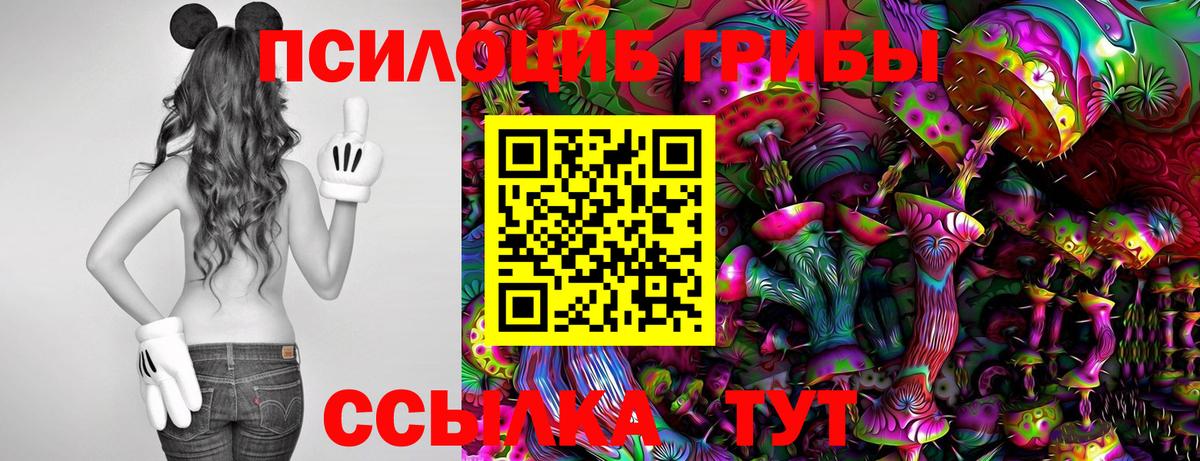 Энгельс  Галлюциногенные грибы GOLDEN TEACHER  Вход с VPN 